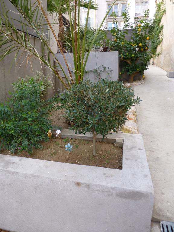 L'Orangeraie Et La Palmeraie D'Endoume Marseilles Exterior foto
