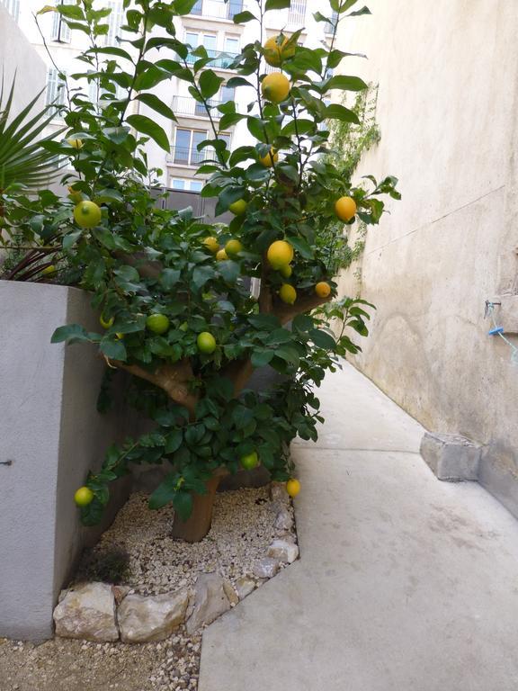L'Orangeraie Et La Palmeraie D'Endoume Marseilles Exterior foto